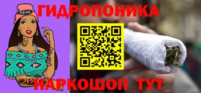 твердый Сланцы