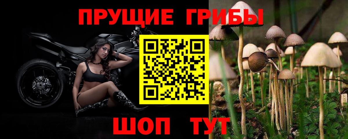 как найти наркотики  Псилоцибиновые грибы Cubensis  Галлюциногенные грибы ЛСД  Вход с VPN  Павловский Посад 